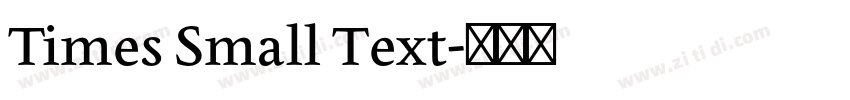 Times Small Text字体转换